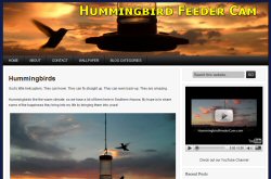 HummingbirdFeederCam.com